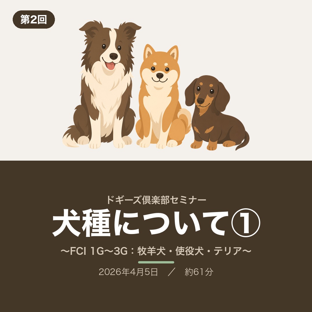 ドギーズ倶楽部セミナー 第2回「犬種について①」
