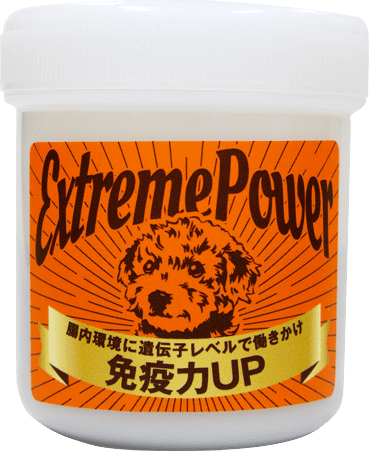 エクストリームパワー