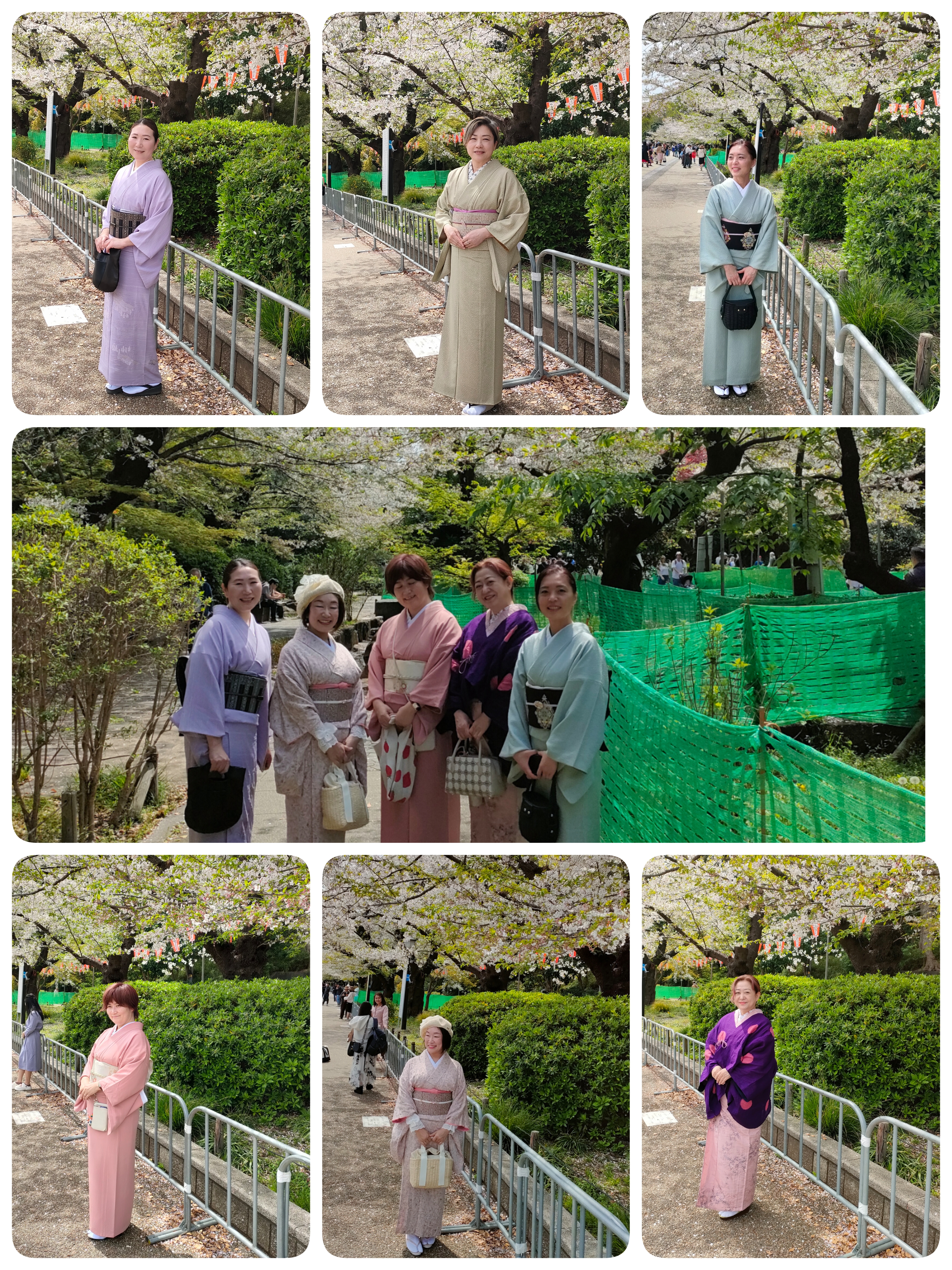 6/16 (火)着物部 浴衣DE大衆演劇 の画像