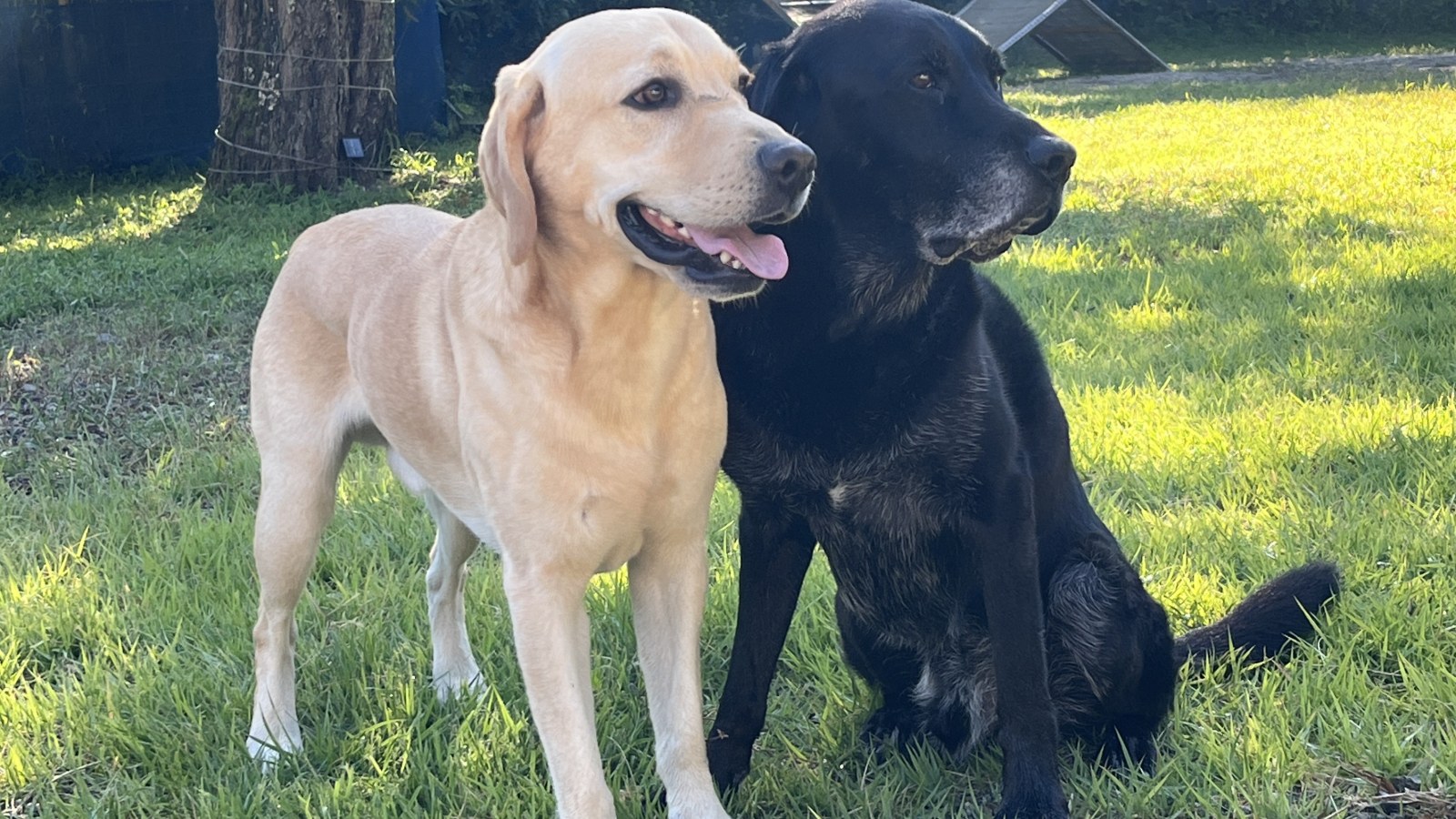 4/5(日)ドギーズ倶楽部② の画像